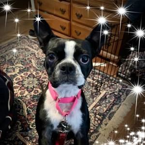 Meet your Posher, Lori